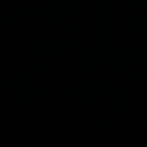 Meet your Posher, Laney